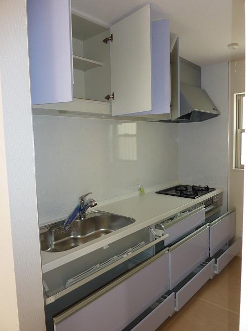 Same specifications photo (kitchen). Sink washed with water purifier with a hand shower