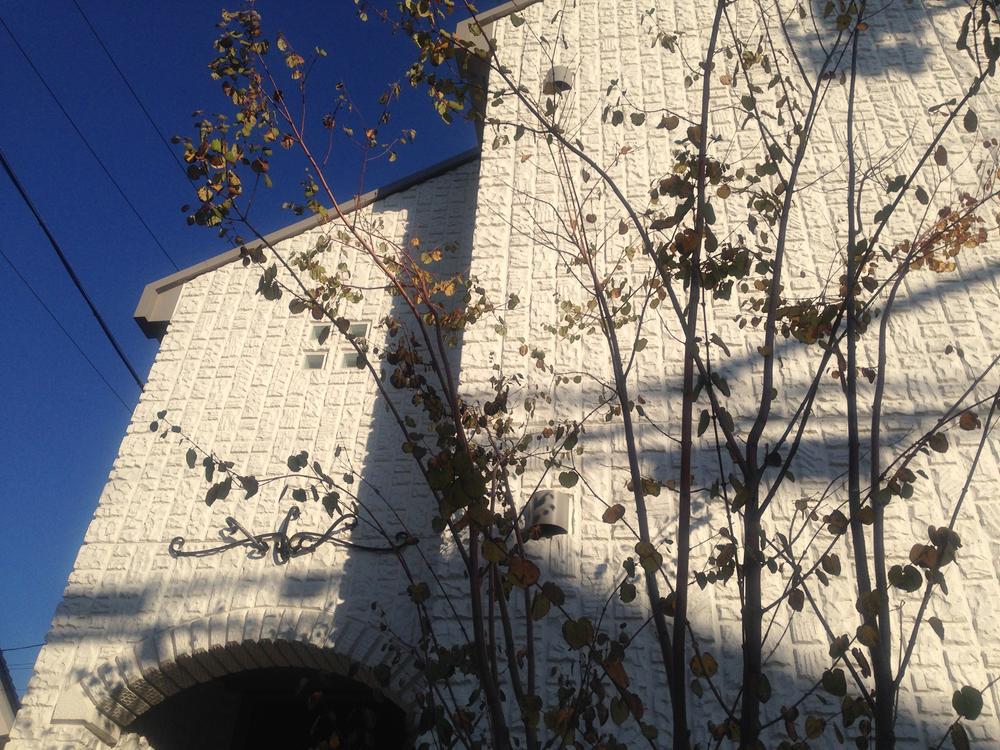 Local appearance photo. Fine detail brings out the cleanliness of the white wall