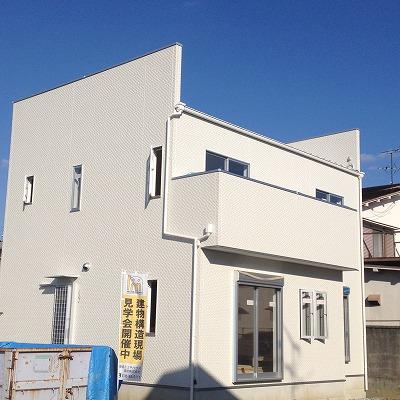 Local appearance photo. This is the figure from the rear