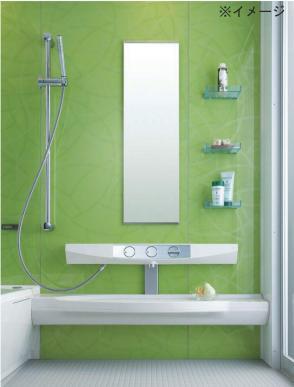 Bathroom. System bus