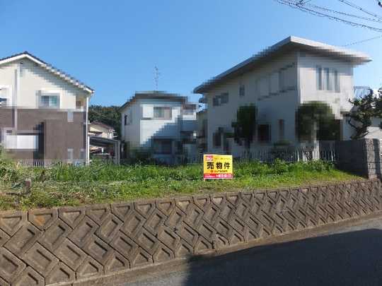 Local land photo. Local Photos (1)