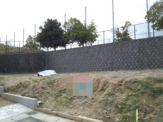 Local land photo. Local Photos