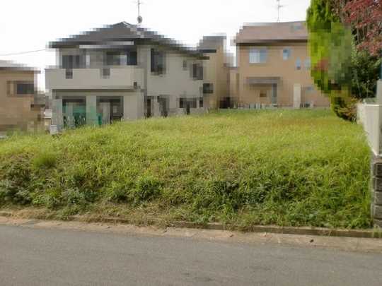 Local land photo. Local Photos (1)