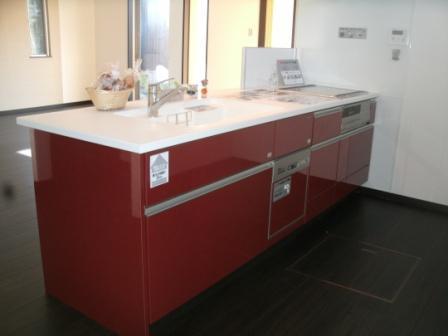 Kitchen. standard kitchen