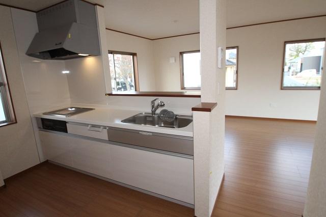 Kitchen. Indoor (11 May 2013) Shooting