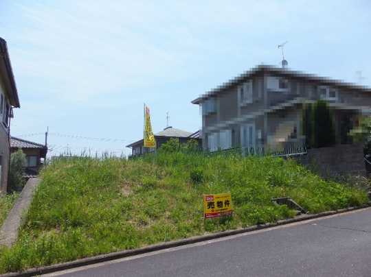 Local land photo. Local Photos (1)