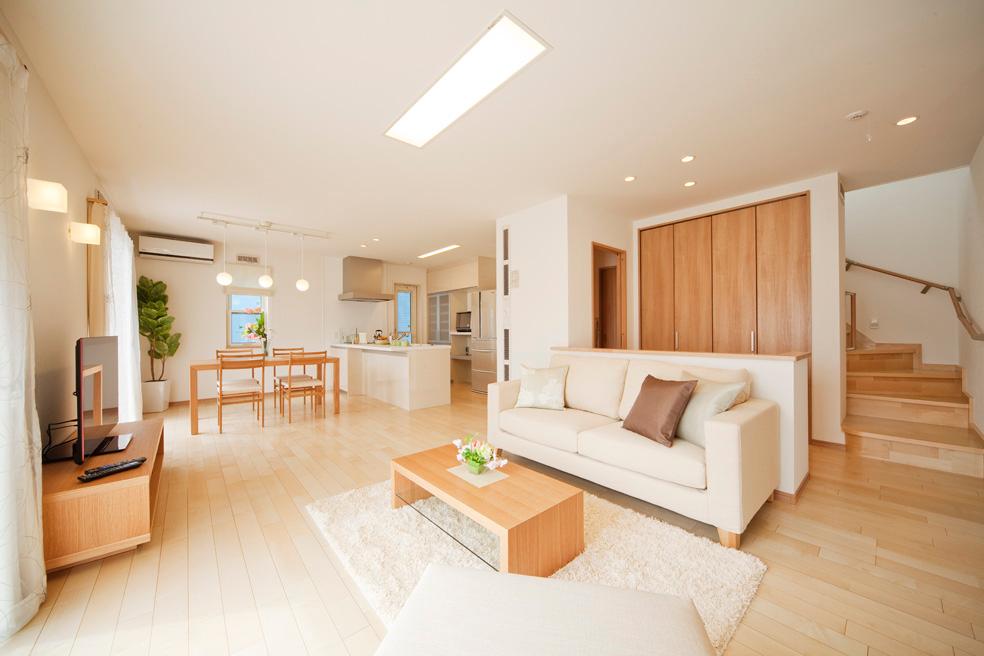 Living. Model house introspection