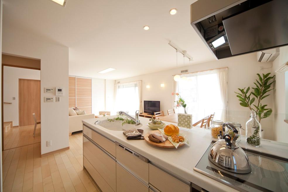 Model house introspection