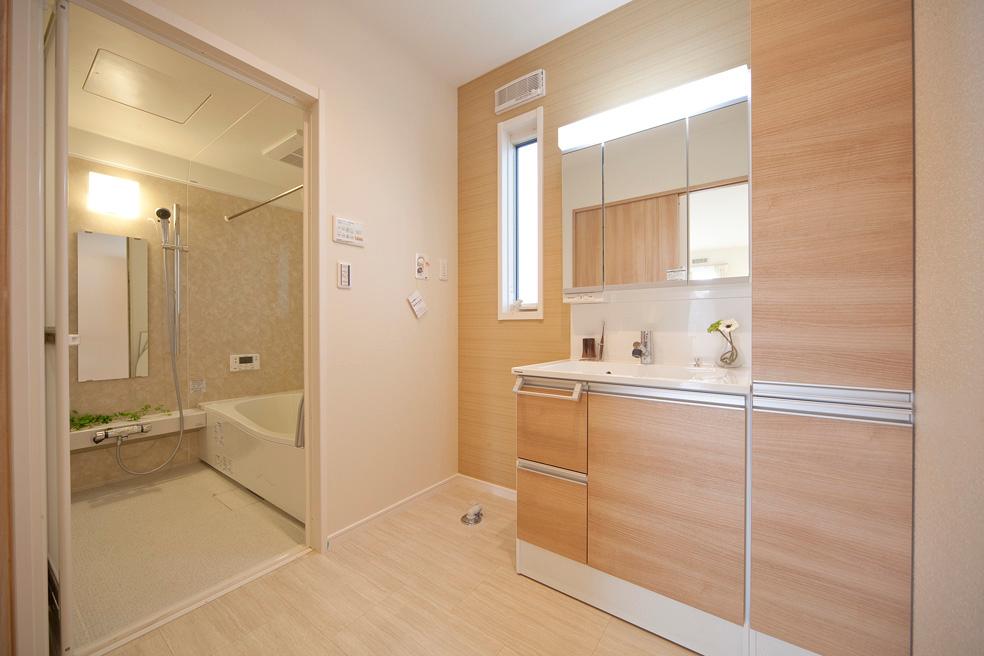 Bathroom. Model house introspection