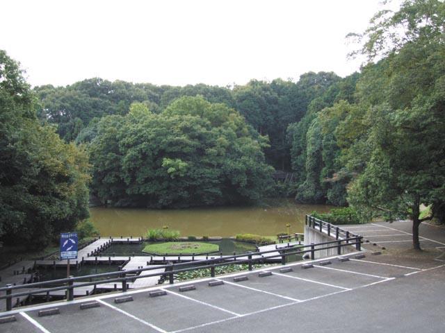 Other Environmental Photo. Camp can enjoy facilities are within walking distance in the 760m near lot to the bodhi campground. Ideal for holiday family outing spot. 