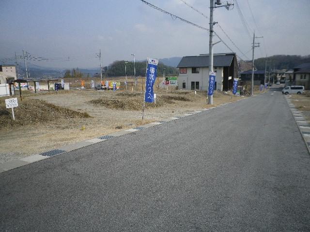 Local land photo. Local (March 2012) shooting