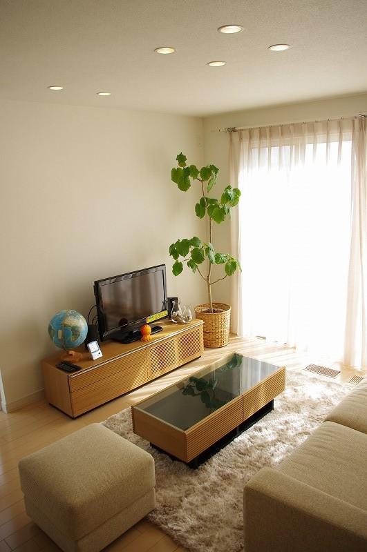 Model house photo. Living room with excellent lighting