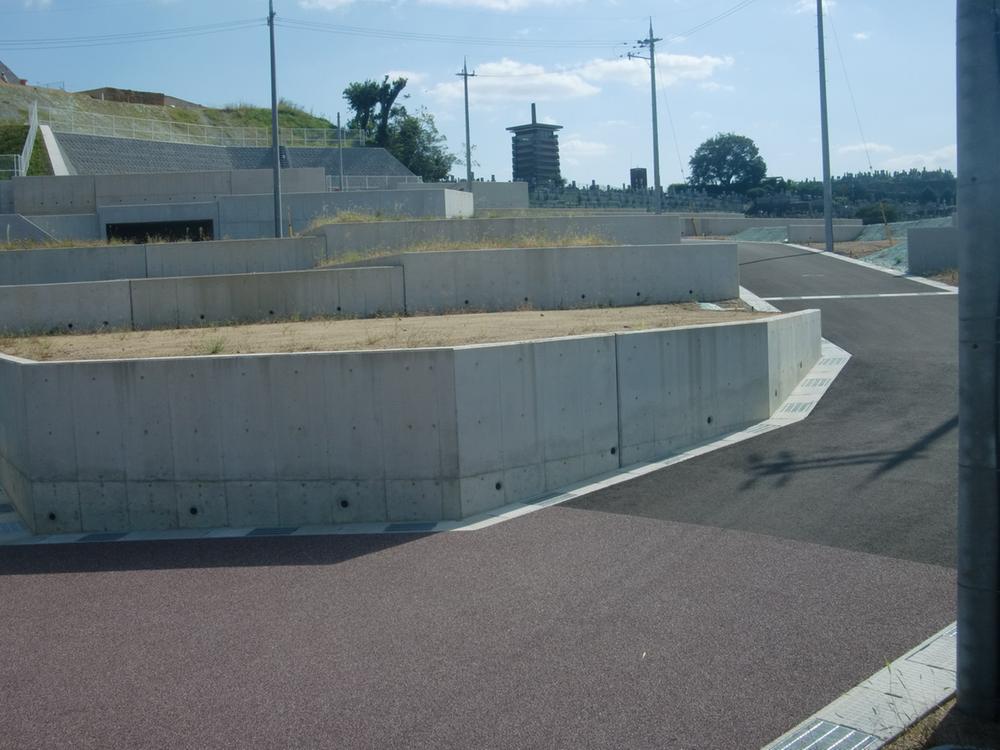 Local land photo. Local will have been established to clean. 