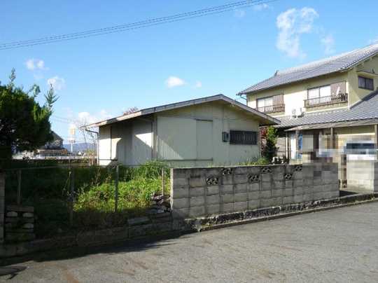 Local land photo. Appearance (1)