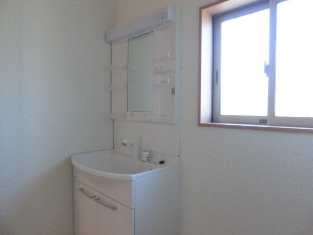 Wash basin, toilet. Smooth dressing in the wash basin shower