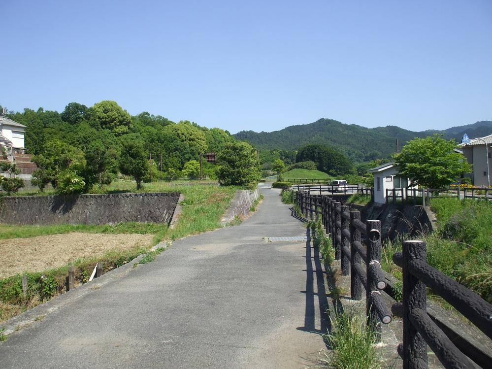 Other. Local (10 May 2013) Shooting