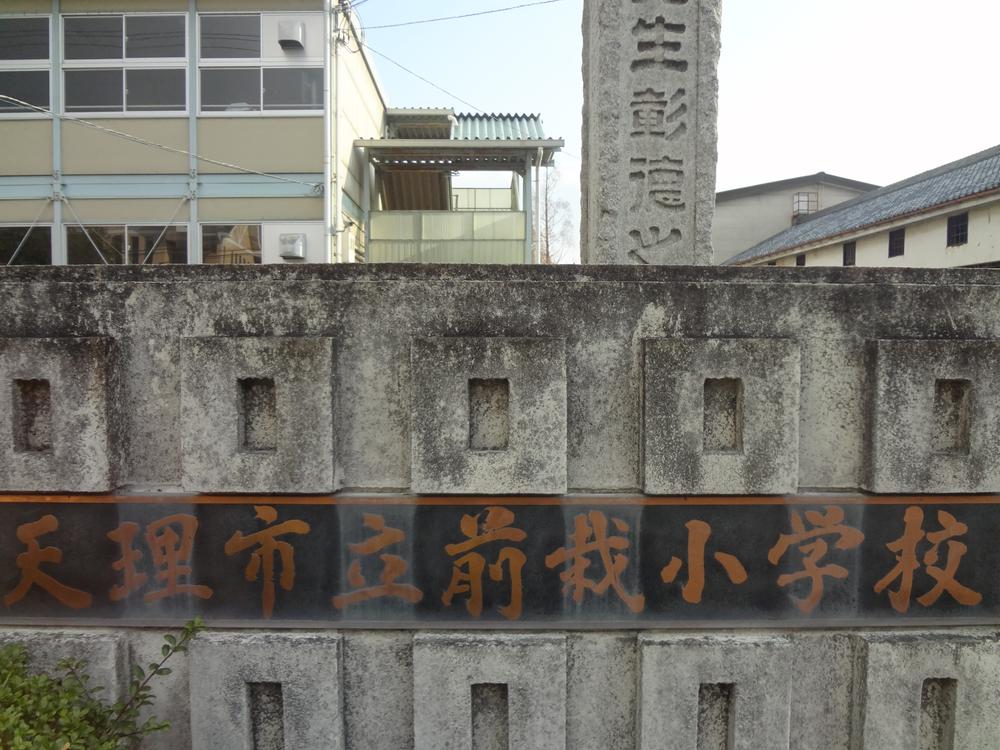 Primary school. Trees and flowers in a garden until the elementary school 230m