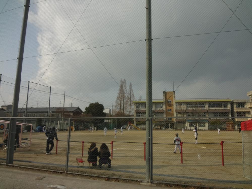 Primary school. Trees and flowers in a garden until the elementary school 230m