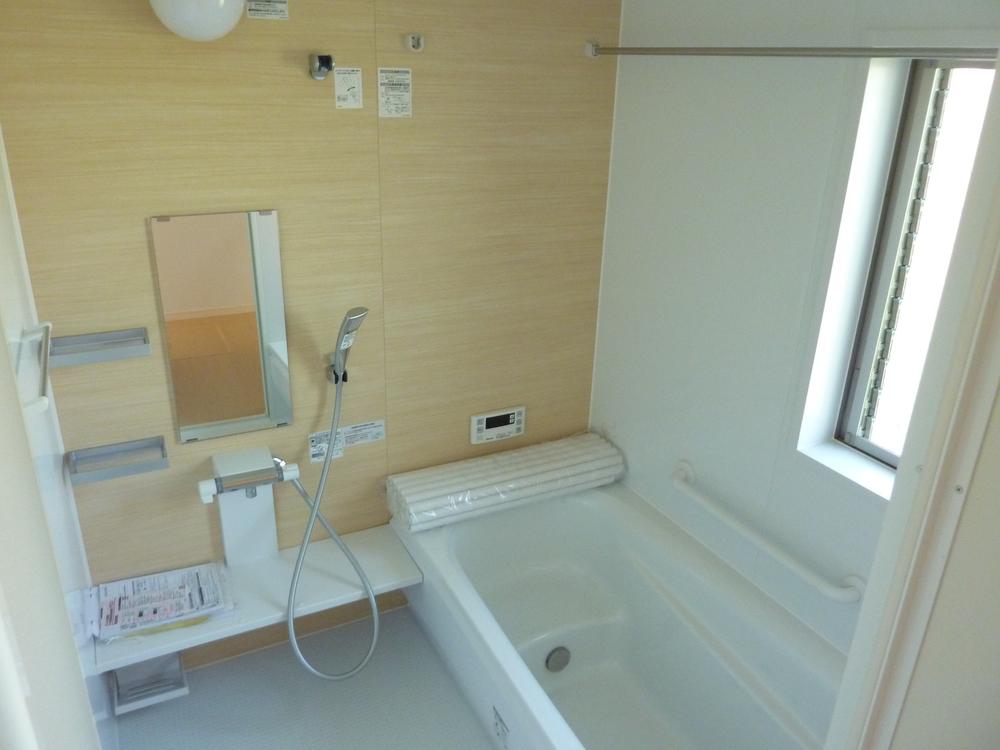 Bathroom. Local (September 2013) Shooting