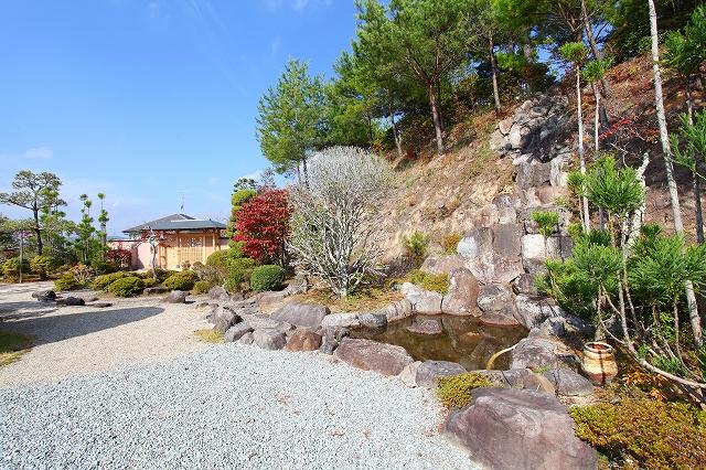 Garden. Local (12 May 2012) shooting