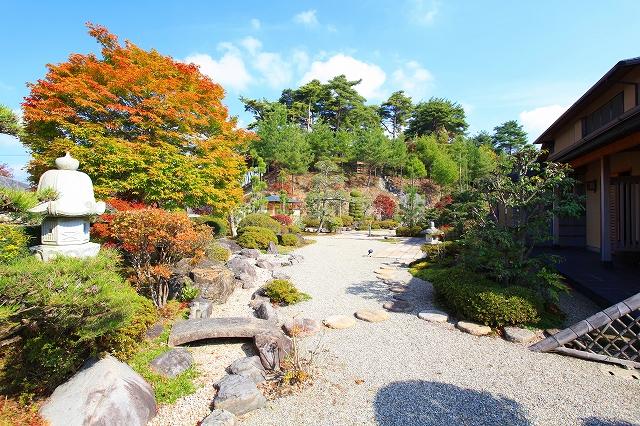 Garden. Local (12 May 2012) shooting