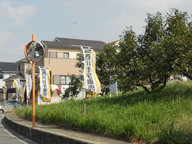 Local photos, including front road