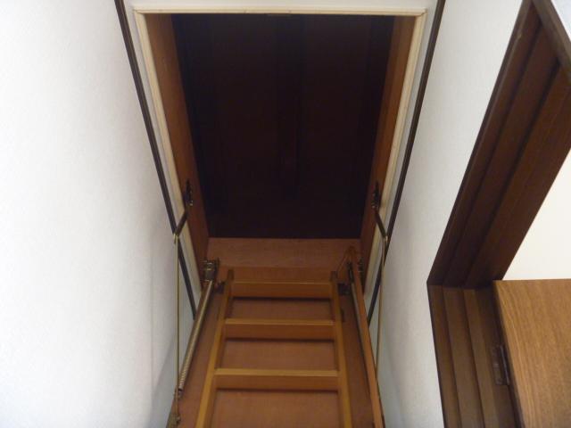 Other introspection. What surprised attic storage