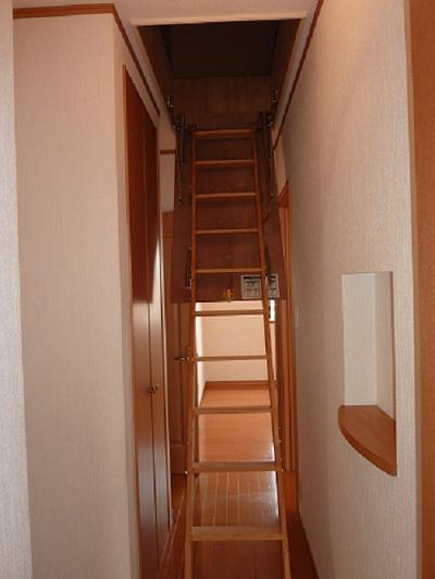 Other introspection. Attic storage