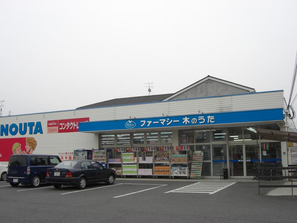 Other. Song of drugstores tree