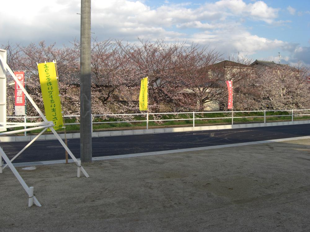 Local land photo. Local (April 2012) shooting