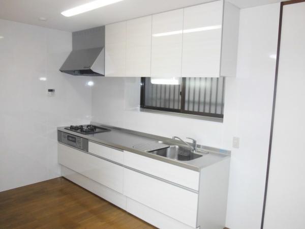 Kitchen. System kitchen new