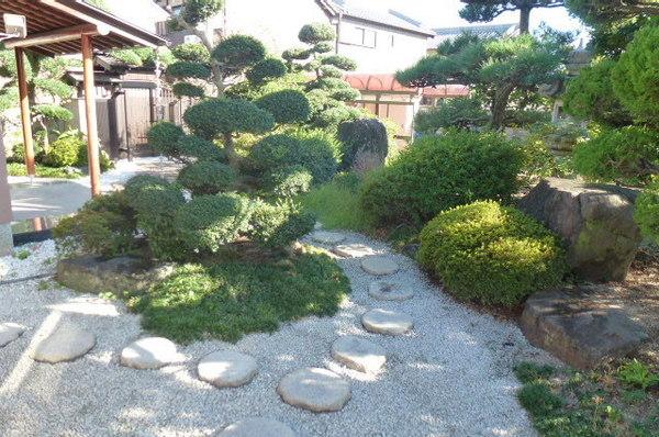 Garden. Local (11 May 2013) Shooting