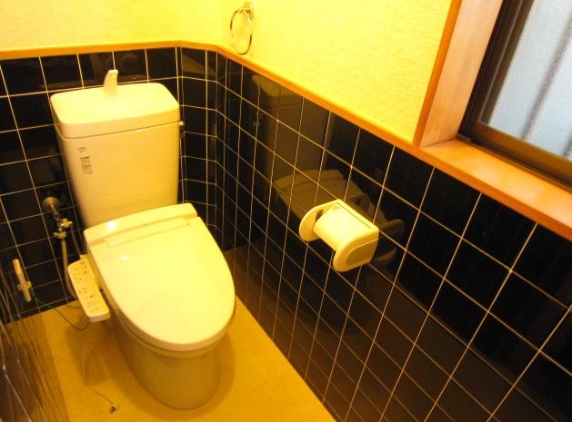 Toilet. Toilet is a new article