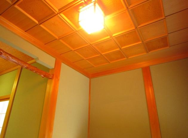 Other. Also cleaning ceiling!