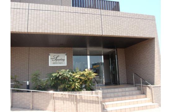 Entrance. Common areas