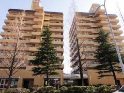 Local appearance photo. Local (August 2012) shooting