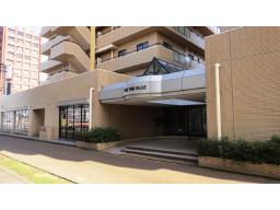 Entrance. Common areas