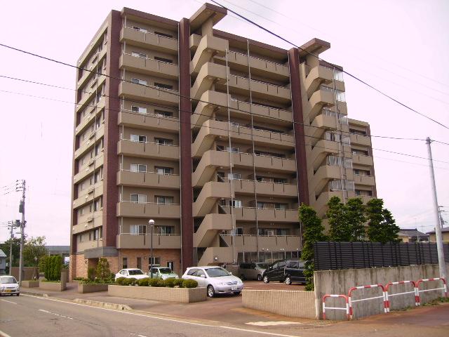 Local appearance photo. Local (11 May 2013) Shooting