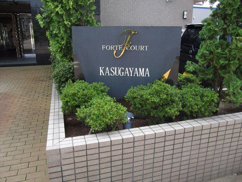 Local appearance photo. Local (August 2013) Shooting