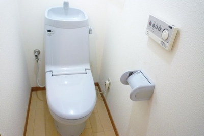 Toilet. Happy is with a bidet