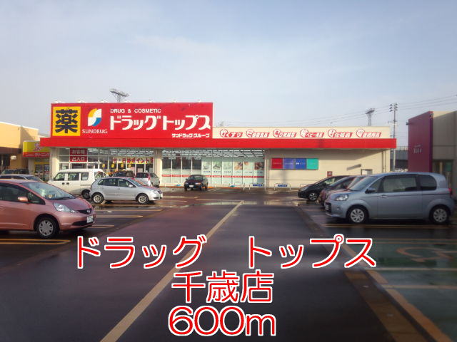 Dorakkusutoa. Drag Tops Chitose shop 600m until (drugstore)