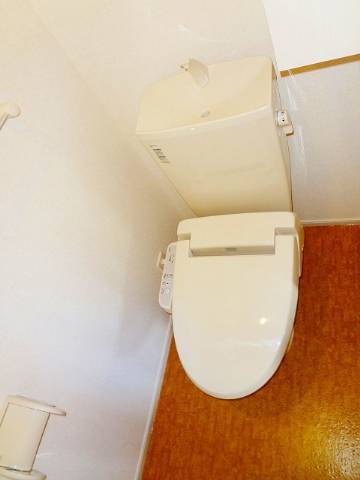 Toilet. Toilet