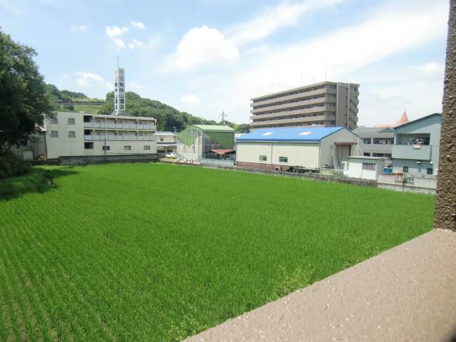 Other. Scenery beautiful!