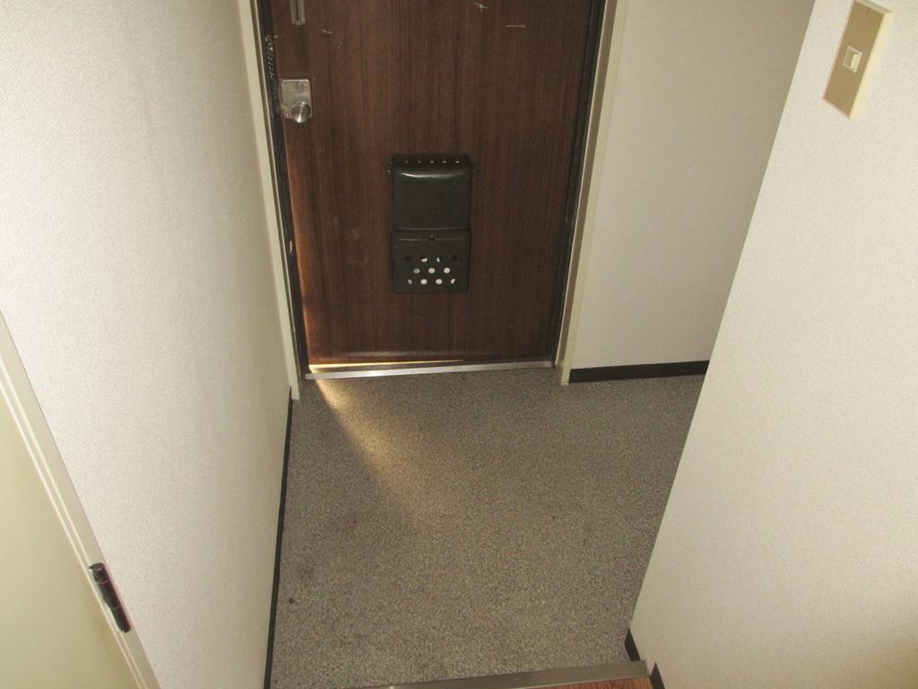 Entrance. Because during the renovation it will be to reform before the room photo