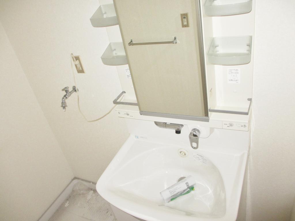 Washroom. Because during the renovation it will be to reform before the room photo