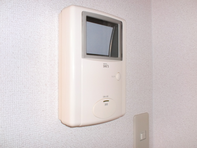 Other. It is a TV with intercom (^ v ^)