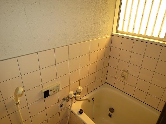 Bathroom. Indoor (March 2013) Shooting