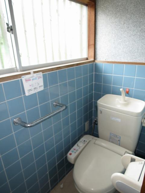 Toilet. Indoor (March 2013) Shooting