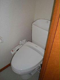 Toilet. Toilet