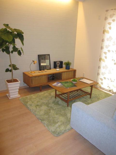 Living. Indoor (09 May 2013) Shooting